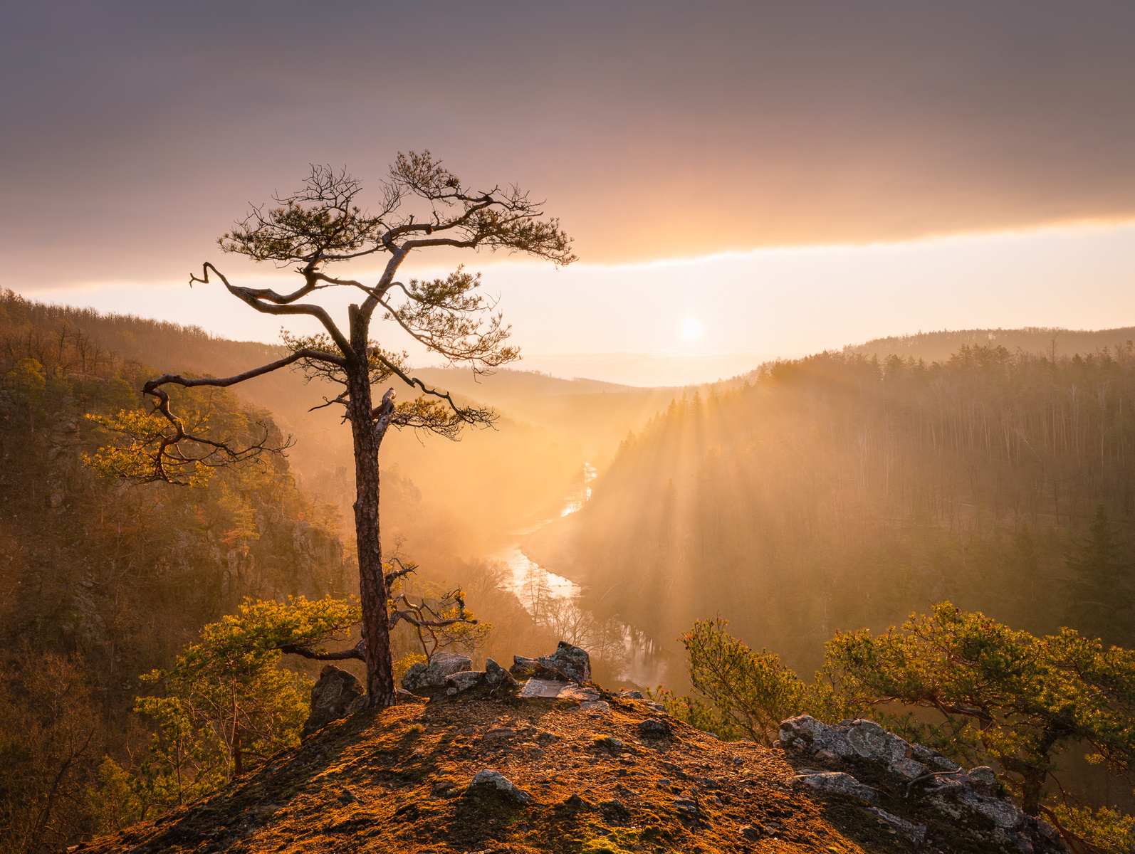 Východ slunce nad údolím Jihlavy, březen 2020